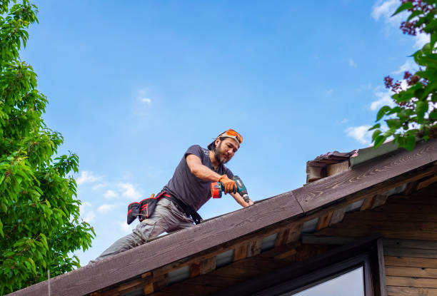 Best Asphalt Shingle Roofing  in Sullivan Gardens, TN