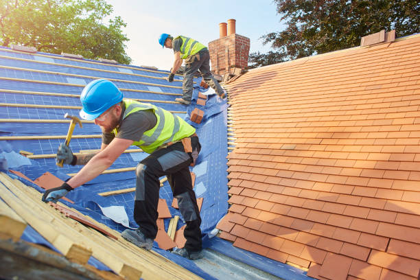 Best Chimney Flashing Repair  in Sullivan Gardens, TN